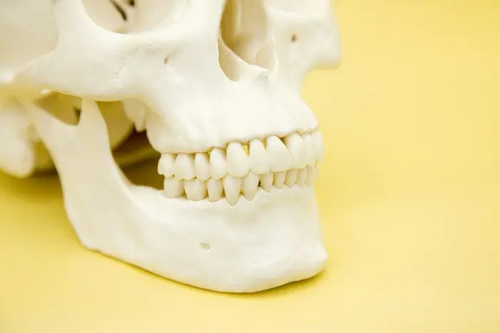 矢口渡（大田区・蒲田）の歯医者、のびのび歯科・矯正歯科の顎関節症治療